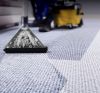 Get Rid of Stubborn Carpet Stains in Chehalis
